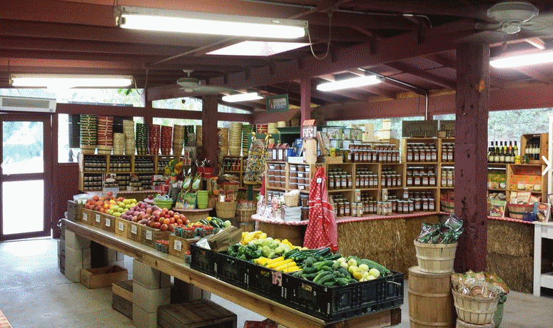 Gopher Glen Apple Farm