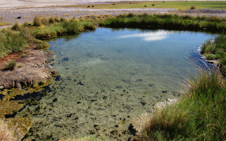 Tecopa Hot Springs Mud Hole