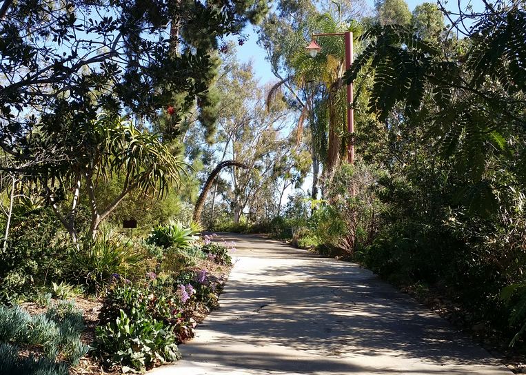 Australasian Garden Alta Vista Gardens