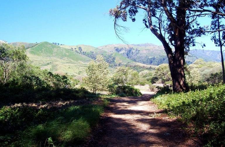 Andrew Molera State Park