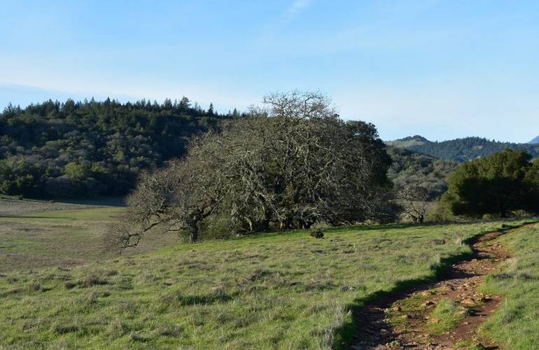 Annadel State Park