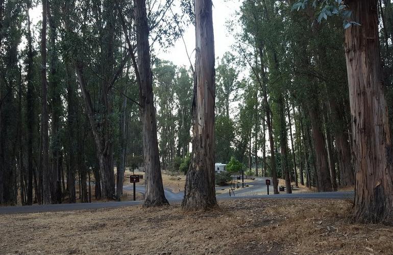 Chabot Regional Park Campground