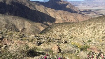 Anza-Borrego Desert State Park Day Trip