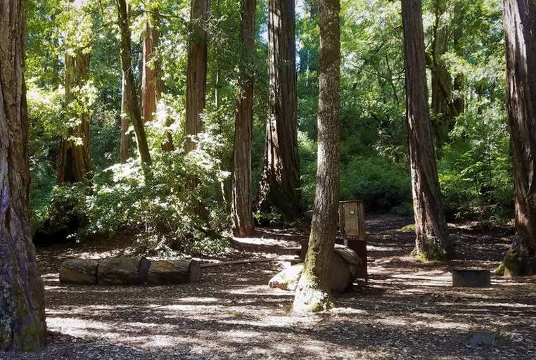 Camping Big Basin Redwoods State Park