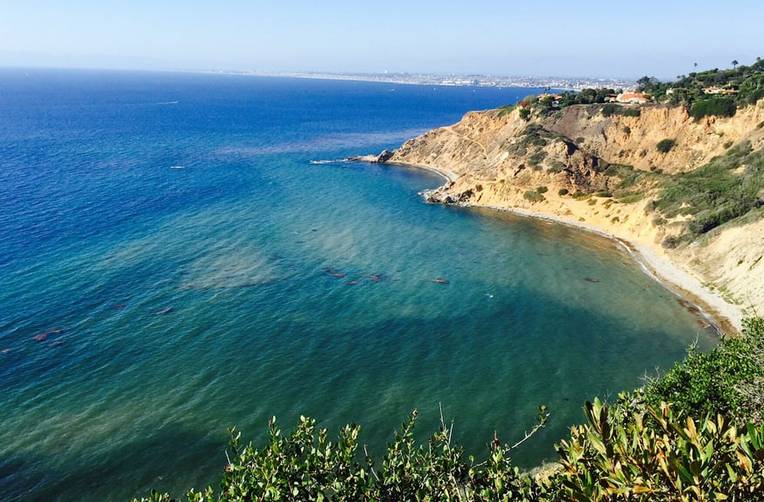 Bluff Cove Palos Verdes