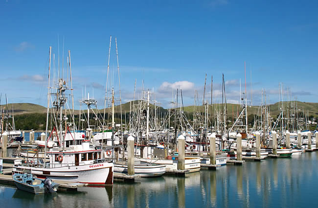 Bodega Bay San Francisco Day Trip Things To Do