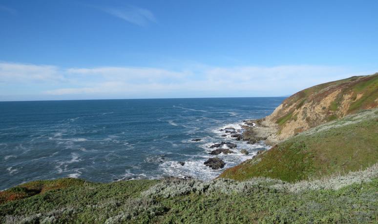 Bodega Head Sonoma Coat State Park