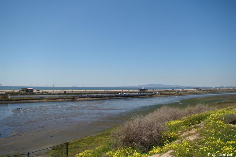 Bolsa Chica Wetlands Huntington Beach