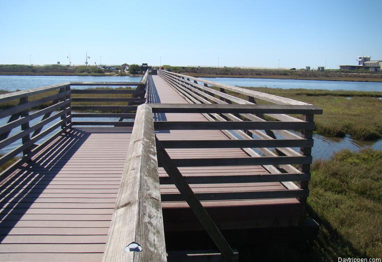 Bolsa Chica Wetlands Huntington Beach