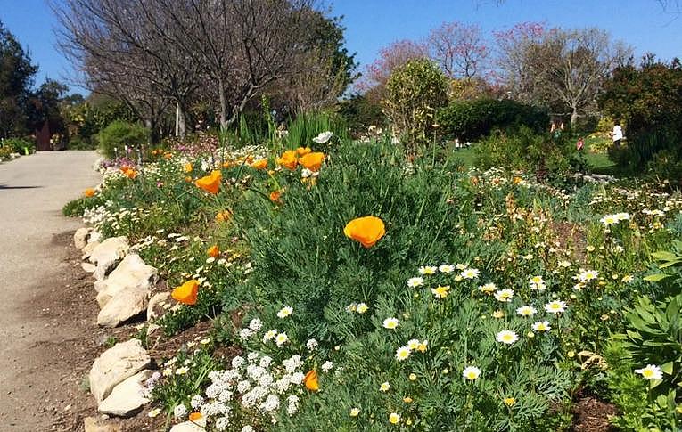 South Coast Botanic Garden