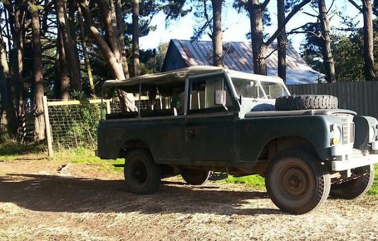 Safari Jeep