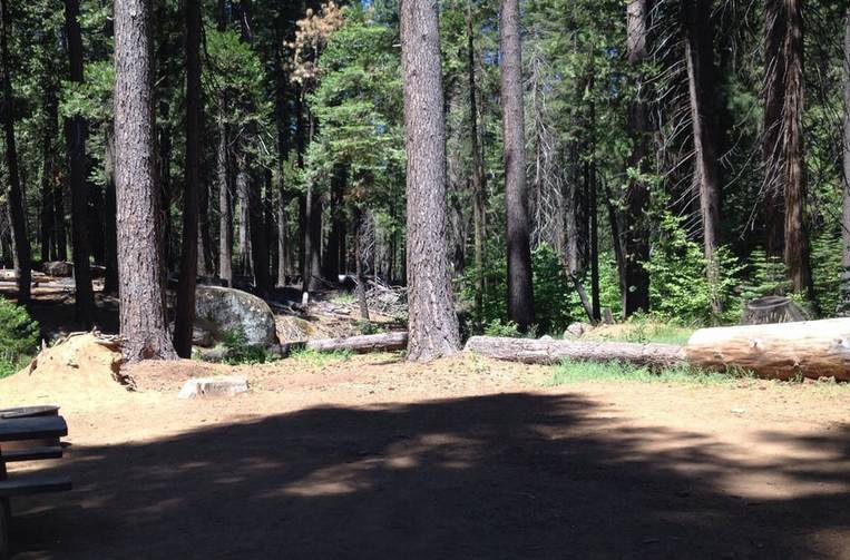 Calaveras Big Trees State Park Campsite