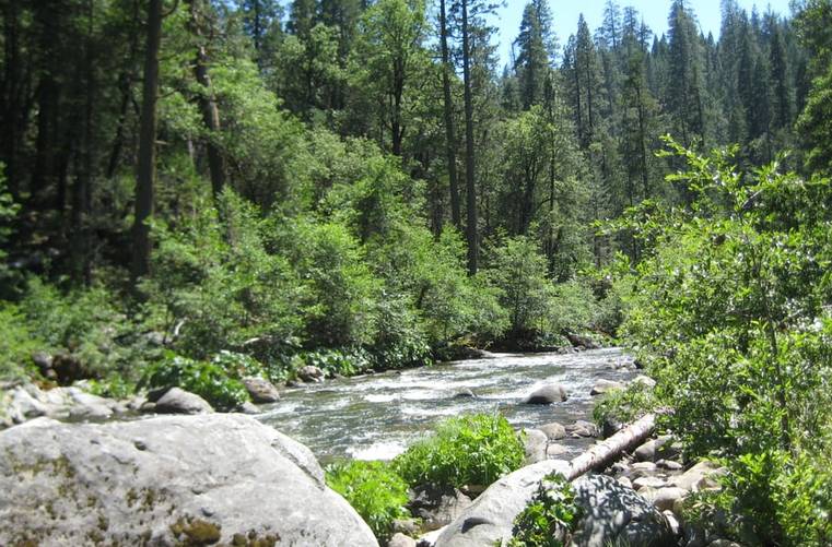 Calaveras Big Trees State Park