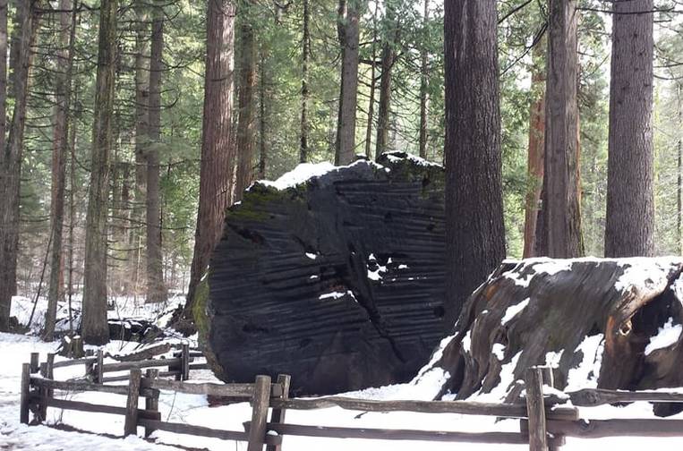 Calaveras Big Trees State Park