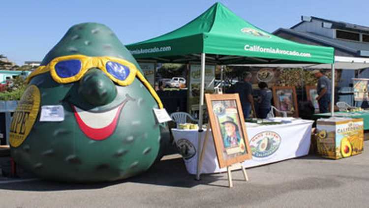 Fallbrook Avocado Festival Giant Avocado