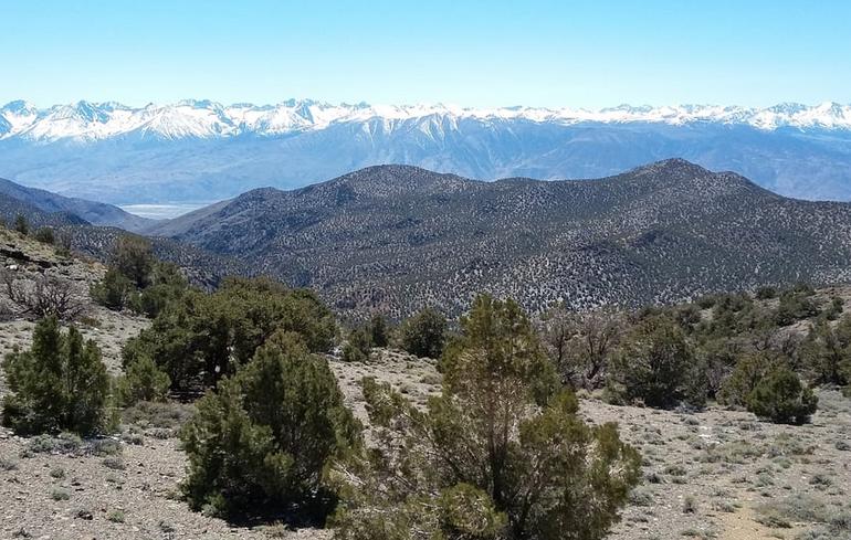 Sierra View Overlook