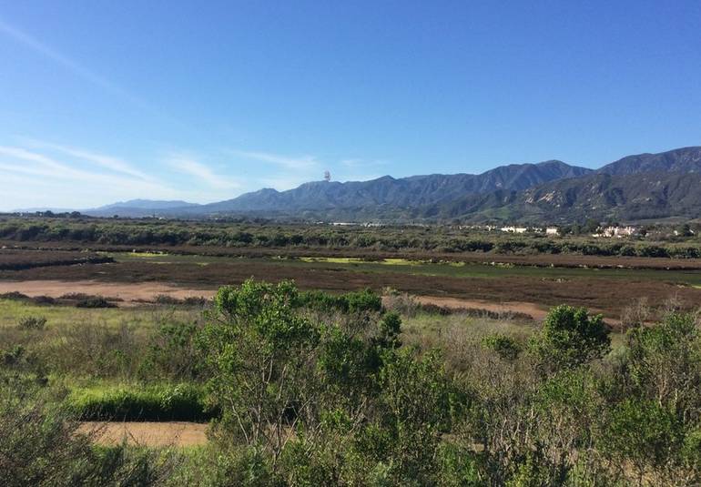 Carpinteria Salt Marsh