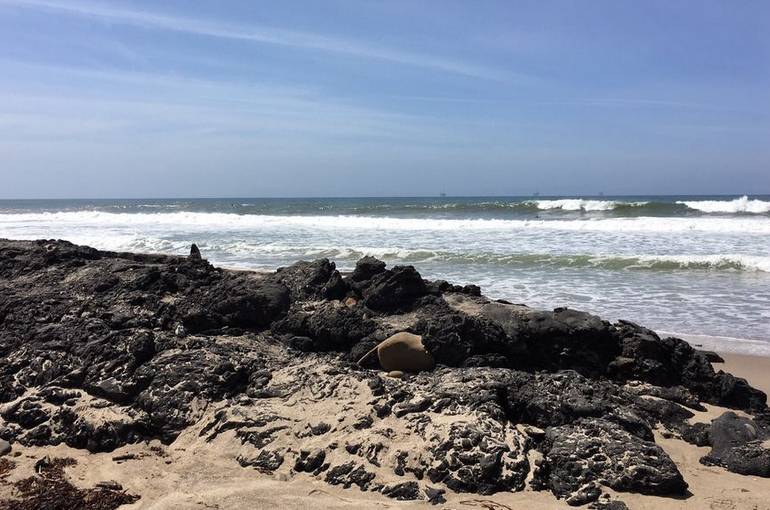 Carpinteria State Beach