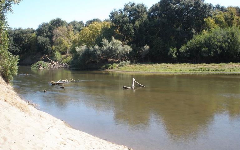 Caswell Memorial State Park