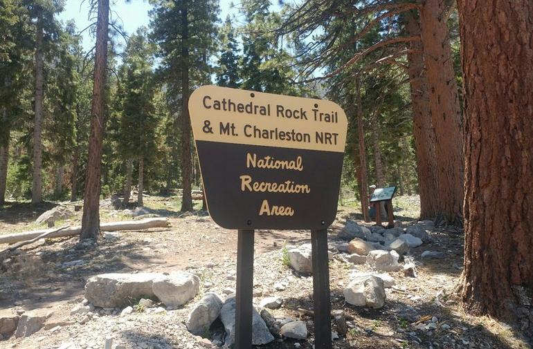 Cathedral Rock Trail