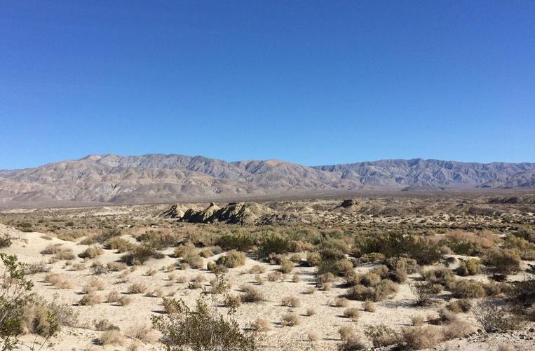 Coachella Valley Preserve