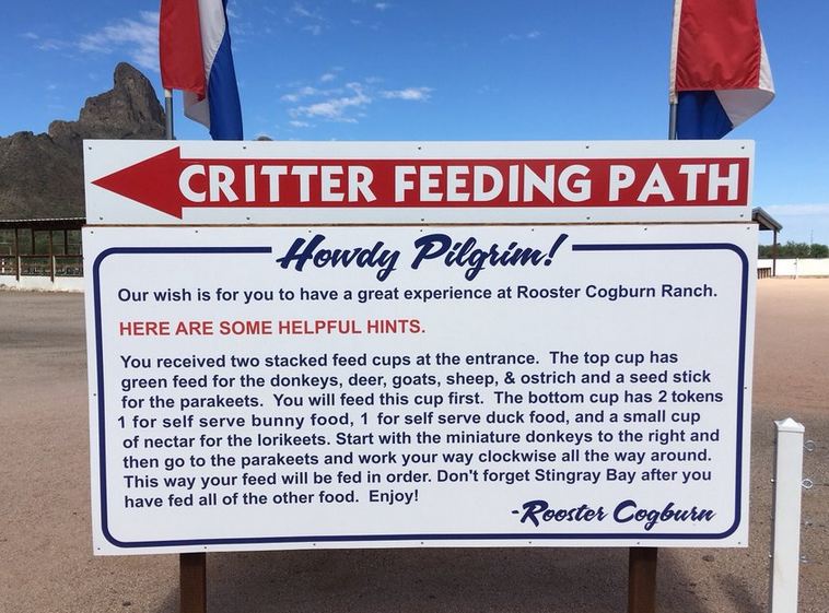 Critter Feeding Path