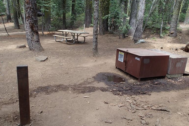 Crane Flat Campground Typical Campsite