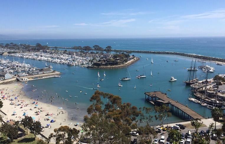 Dana Point Whale Festival