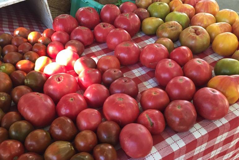 Davis Farmer's Market