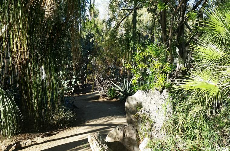 Moorten Botanical Gardens Palm Springs