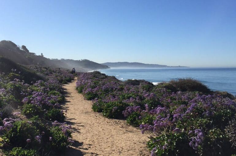 Del Mar City Beach