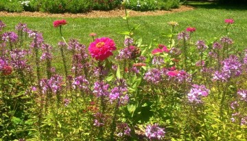 Descanso Gardens Day Trip La Canada Flintridge