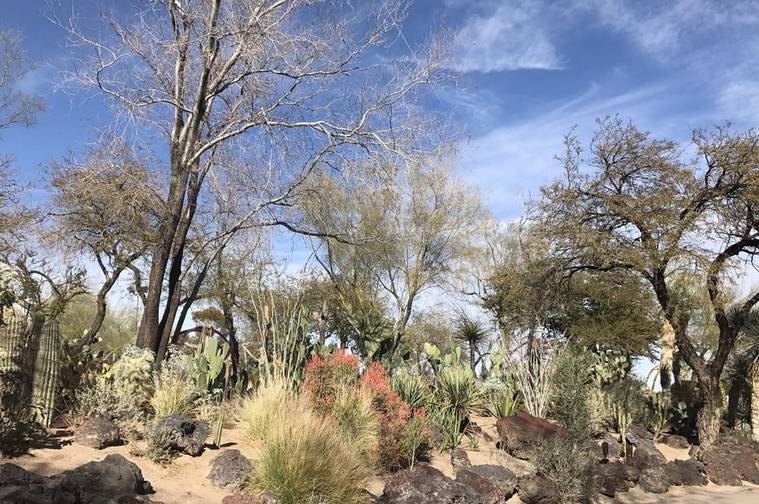 Ethel M Botanical Cactus Garden