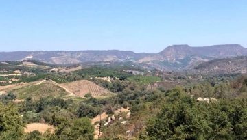 Fallbrook California Day Trip