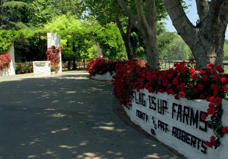 Flags Up Farm Solvang