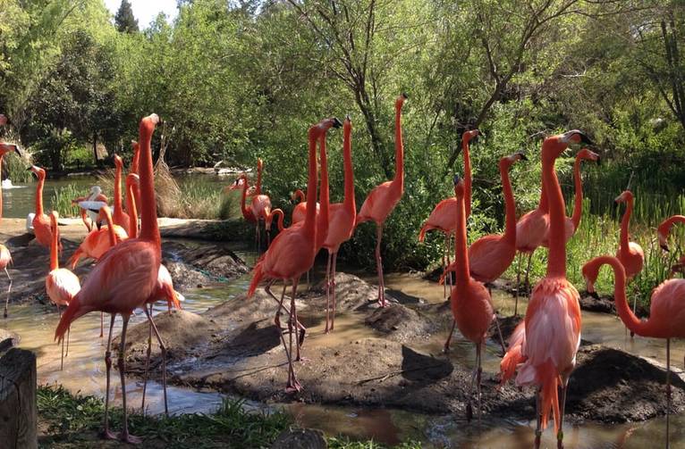 Sacramento Zoo