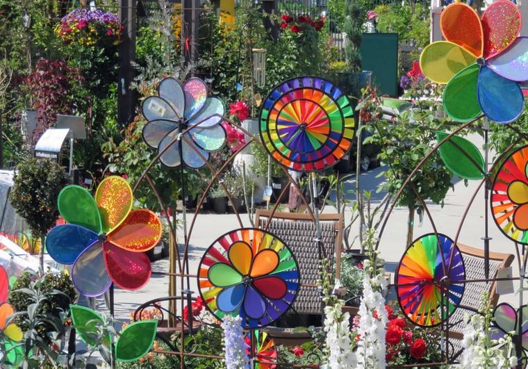 Carlsbad Flower Fields