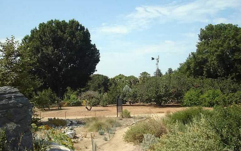 Fullerton Arboretum