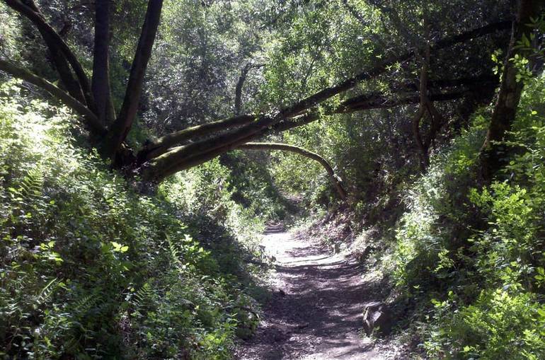 Garland Ranch Regional Park