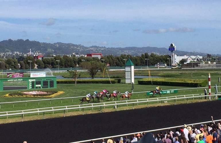 Golden Gate Fields