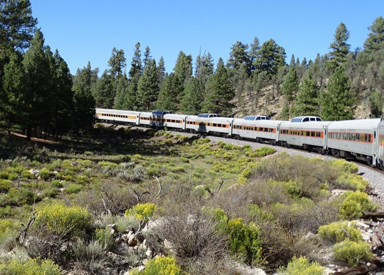 View Dome Cars