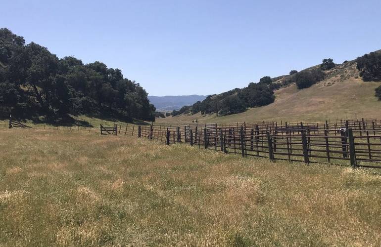 Horseback Riding Santa Barbara Wine Country