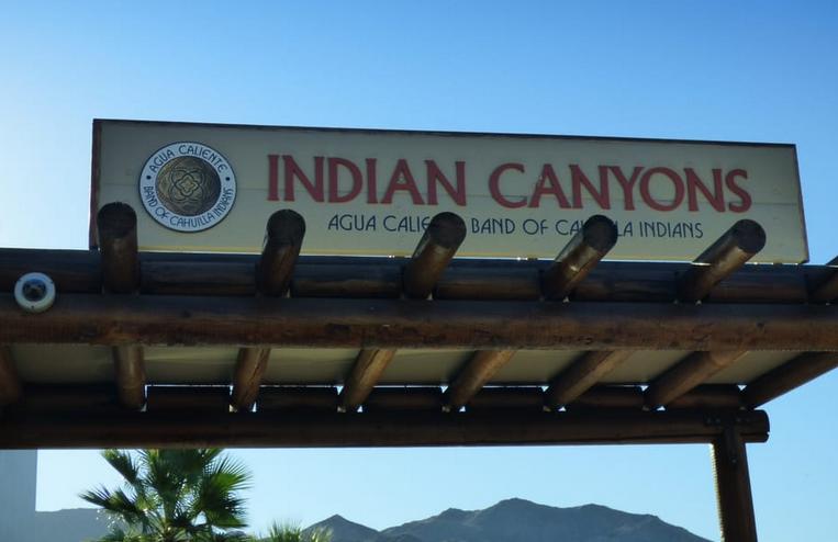 Indian Canyons Palm Springs