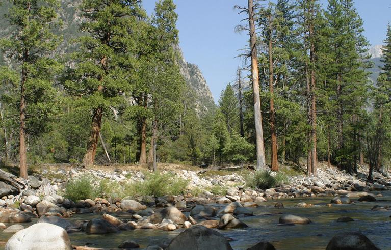 Sequoia-Kings Canyon Parks