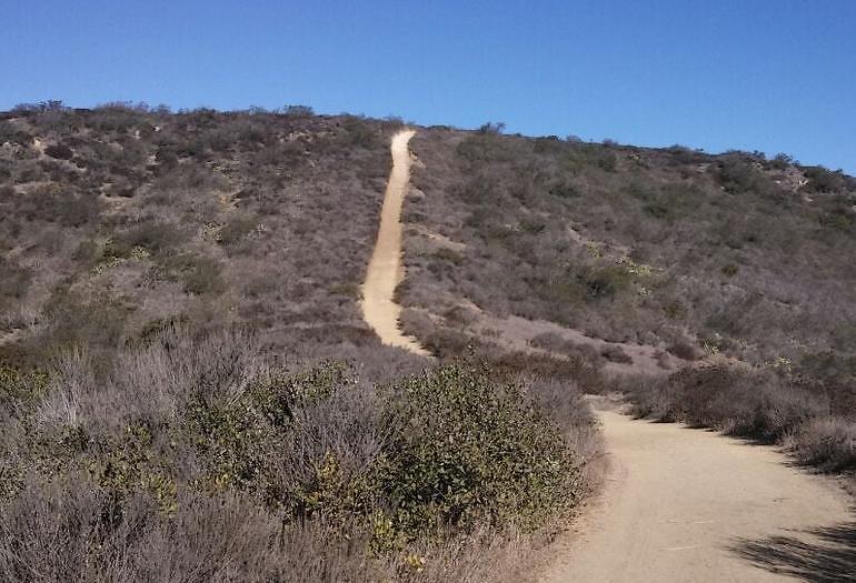 Laguna Coast Wilderness Park