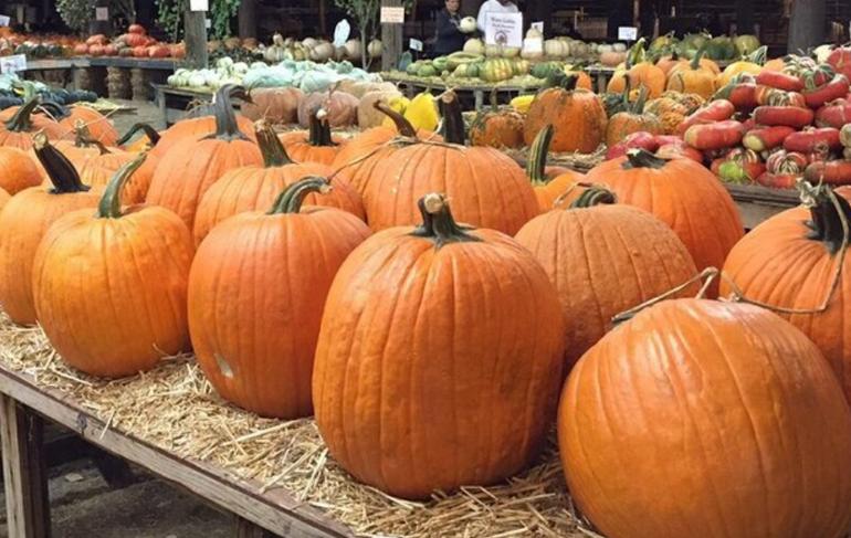 Pumpkin Patch Redlands