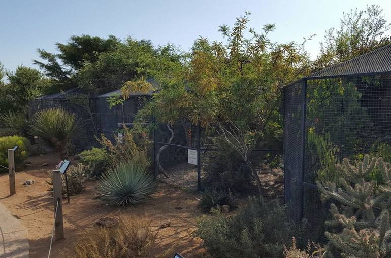 Living Coast Discovery Center Raptor Row