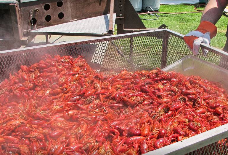 Crawfish Festival Fountain Valley