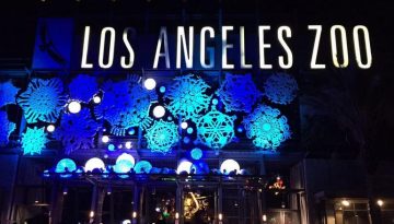 L.A. Zoo Lights Discount Tickets