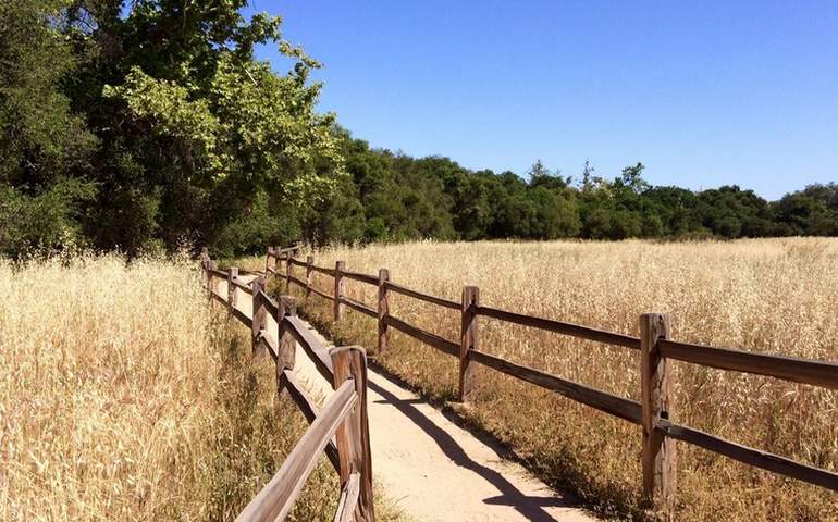 Los Penasquitos Canyon Preserve